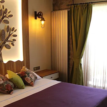 Assos Zeytin Special Class (adults Only)