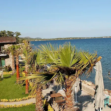 Assos Zeytin Special Class (adults Only) Hotell Ayvacik (Canakkale)