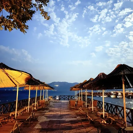 Assos Zeytin Special Class (adults Only) *