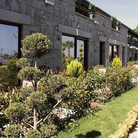 Assos Zeytin Special Class (adults Only) *