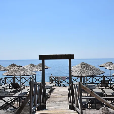 Assos Zeytin Special Class (adults Only)