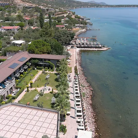 Hotell Assos Zeytin Special Class (adults Only) *