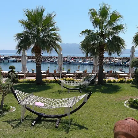 Assos Zeytin Special Class (adults Only)