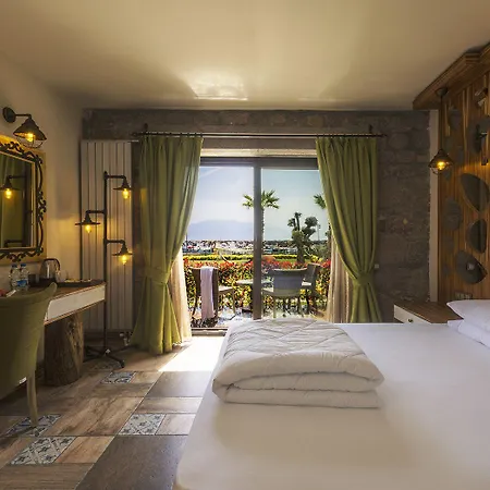 Assos Zeytin Special Class (adults Only) Hotel *