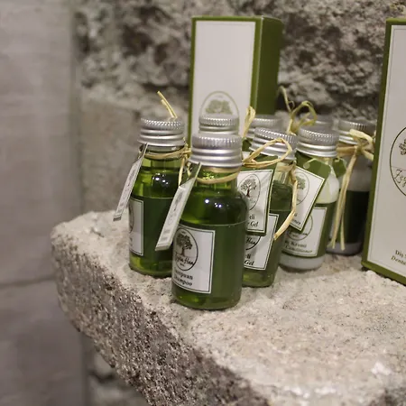 Assos Zeytin Special Class (adults Only)