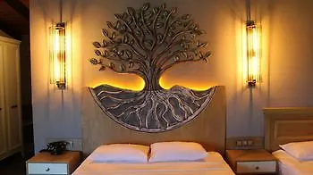 Assos Zeytin Special Class (adults Only) Hotel Ayvacik