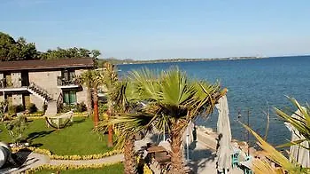Assos Zeytin Special Class (adults Only) *