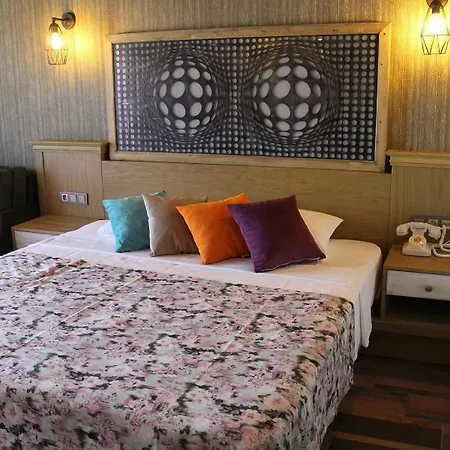 Assos Zeytin Special Class (adults Only) *