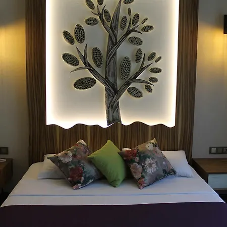 Assos Zeytin Special Class (adults Only) Ayvacik (Canakkale)