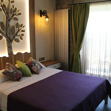 Assos Zeytin Special Class (adults Only) *