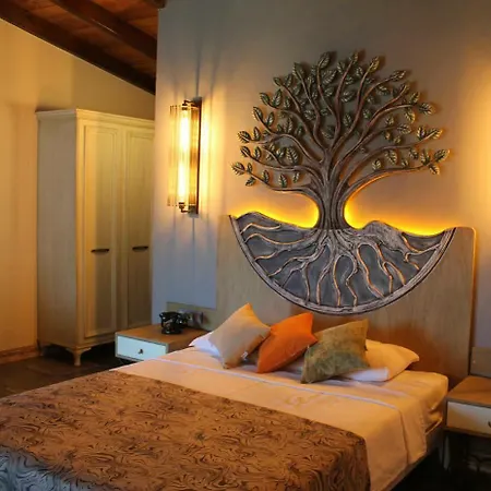 Hotell Assos Zeytin Special Class (adults Only) Ayvacik (Canakkale)